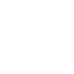 Meades wealth white logo.png